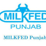 Milkfed Verka Clerk Syllabus 2022 (Download) Punjab Milkfed Junior Assistant Typist Exam Pattern