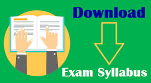 Rajasthan RSMSSB Computer Syllabus 2023 (PDF) Exam Pattern